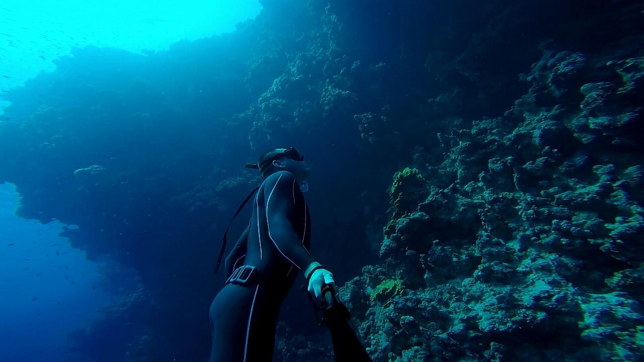 kursy freedivingu AIDA 2 średnio zaawansowany
